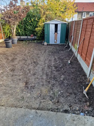 Before: Overgrown garden