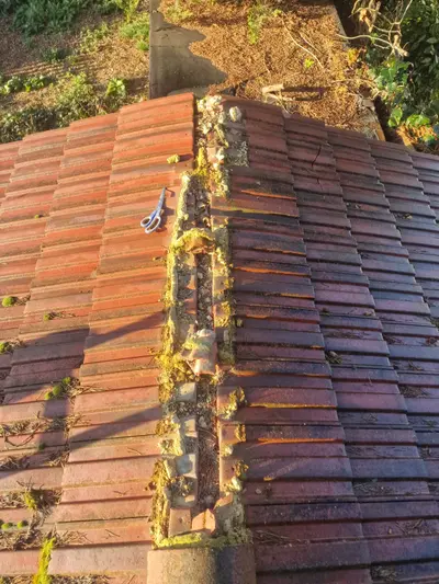 Before: Blocked and dirty guttering